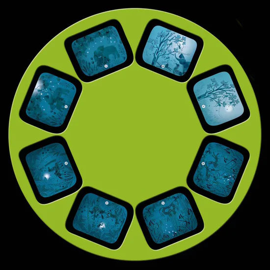 Sous Mon Baobab Storytelling Torchlight