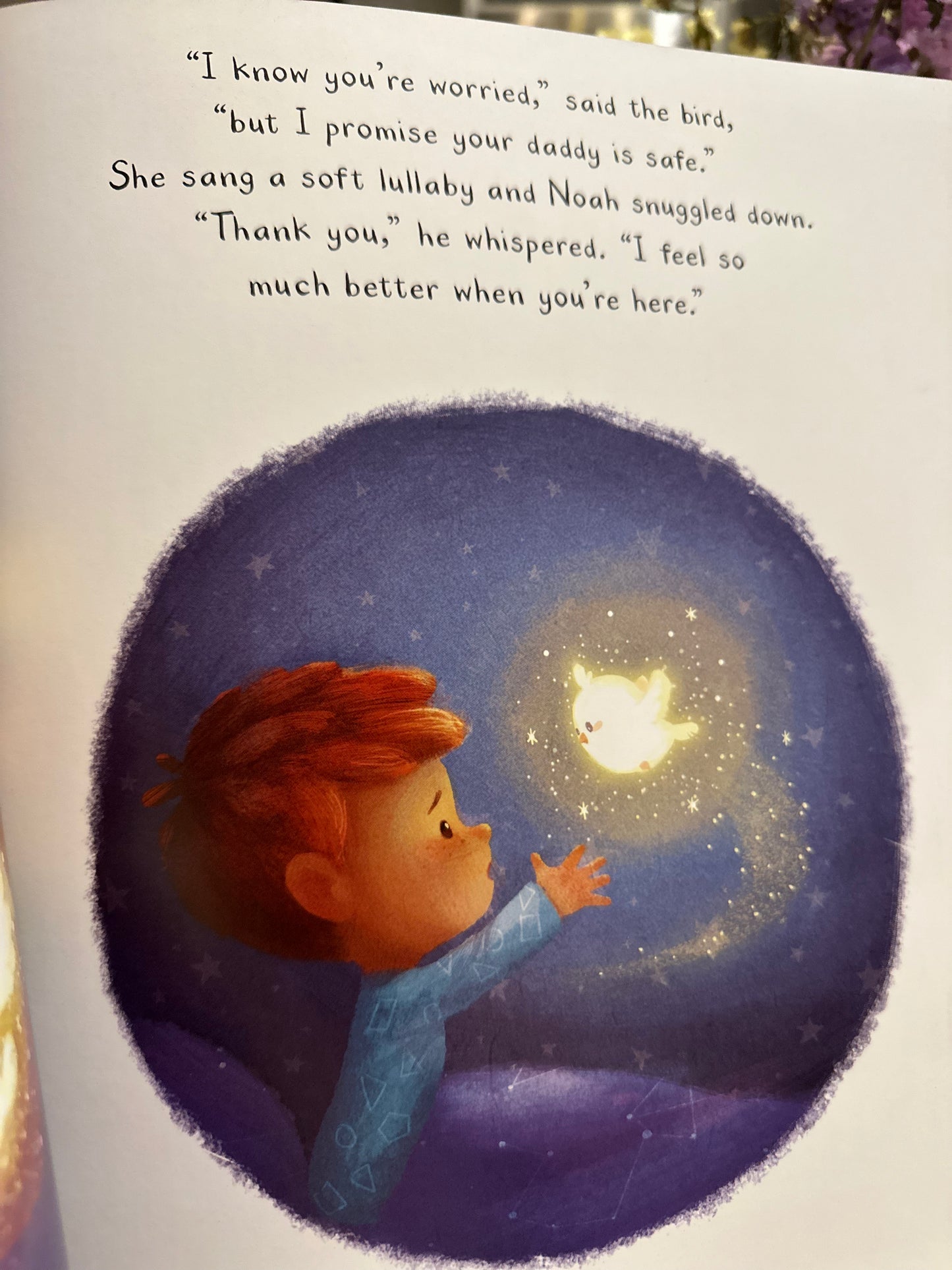 Noah and the Starbird