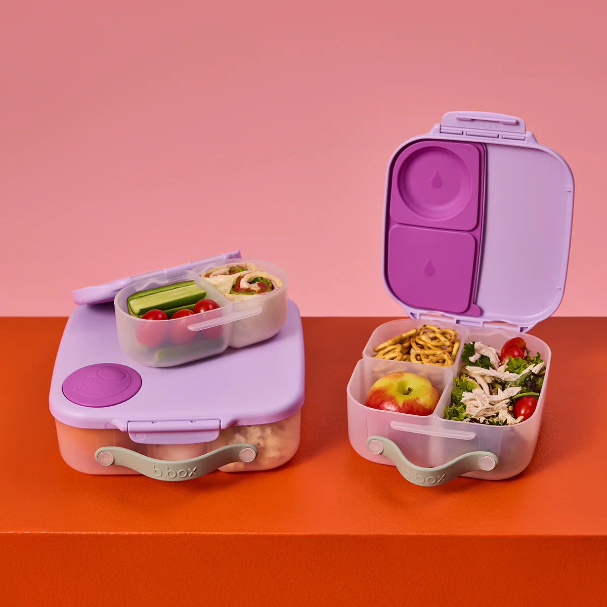 MINI Lunch Box -  Sugar Plum