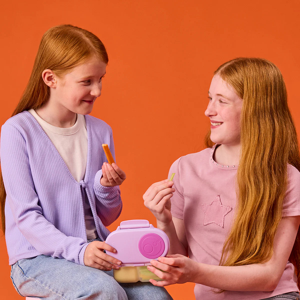 NEW Snack Box - Sugar Plum