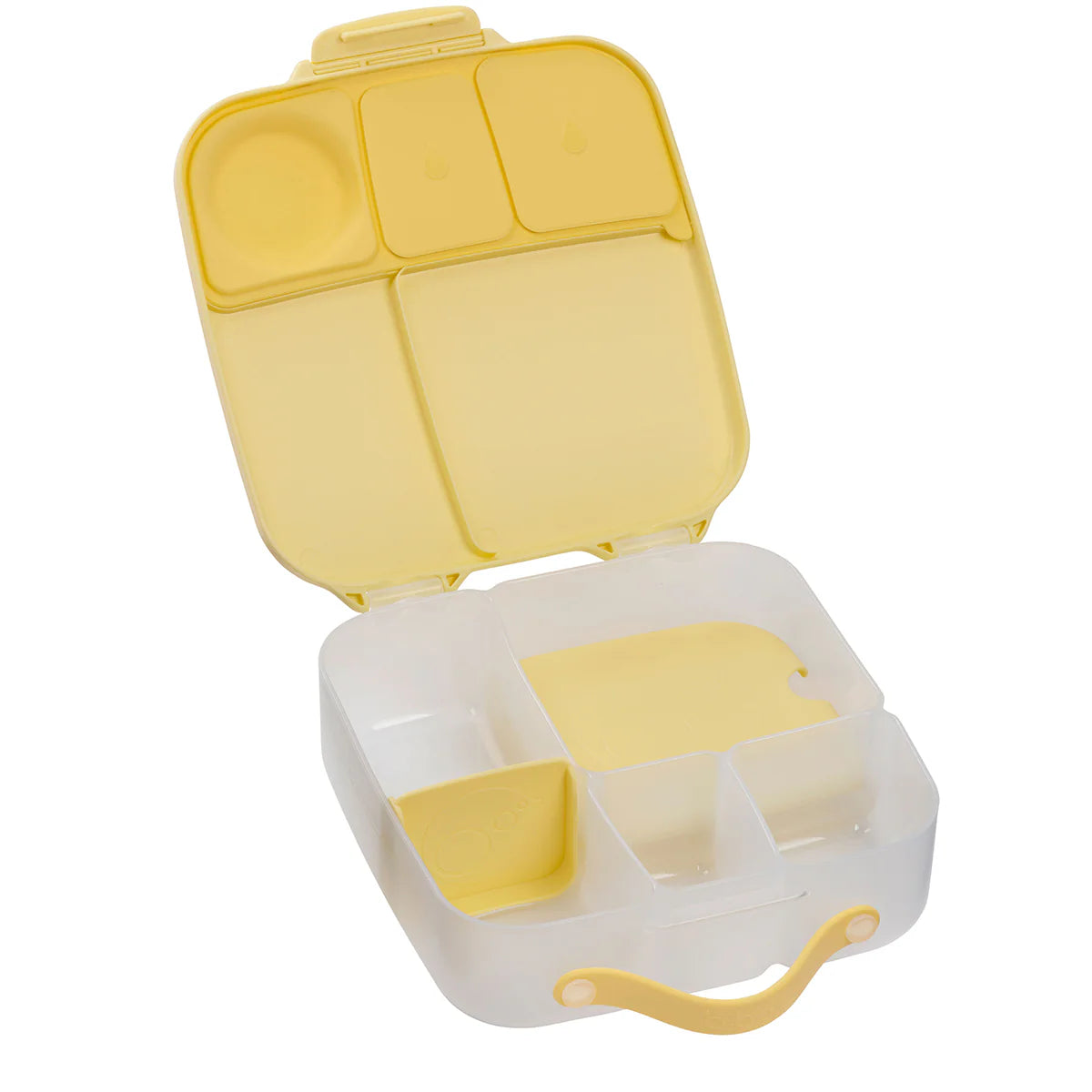 Lemon Twist Lunchbox - Large