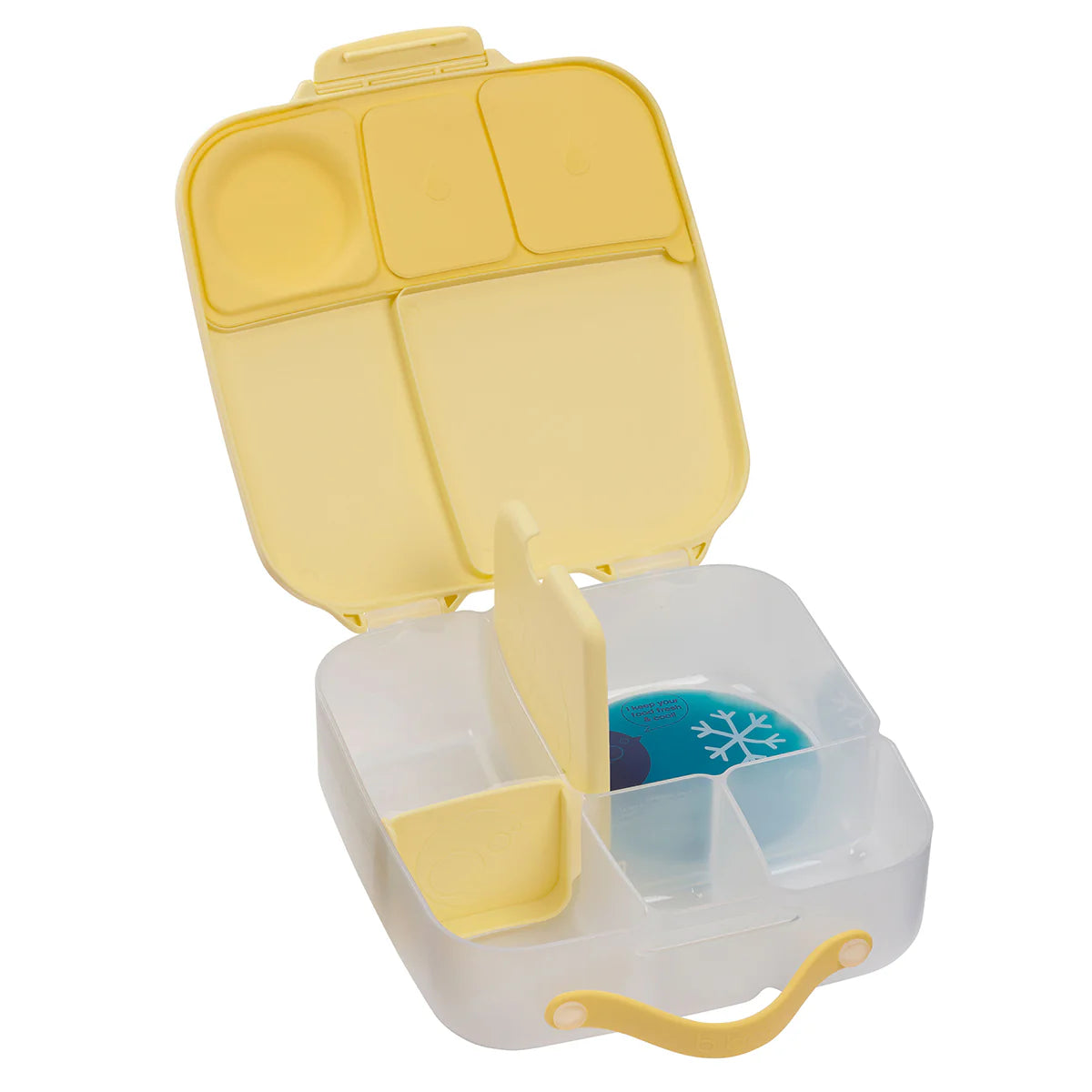 Lemon Twist Lunchbox - Large