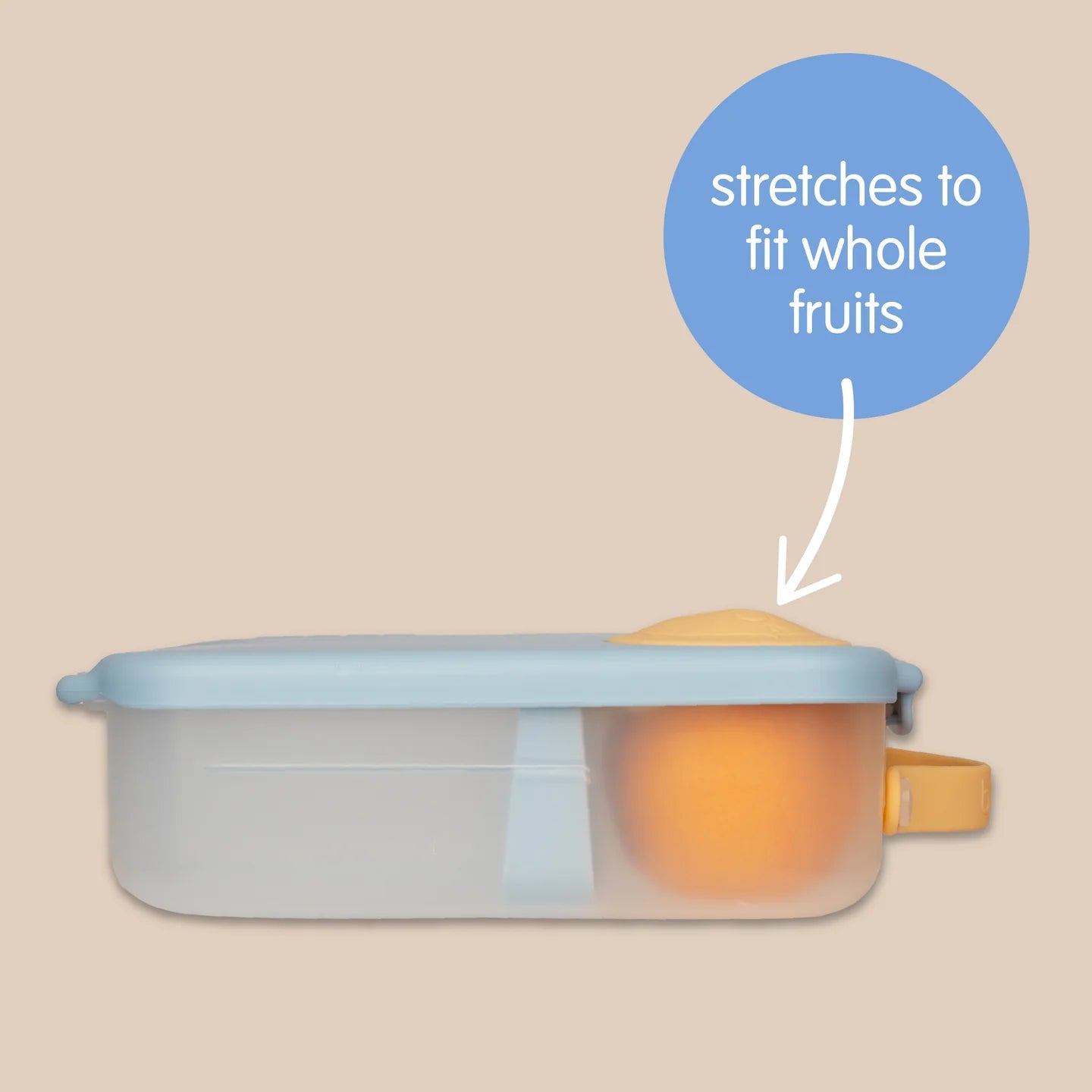 Midnight Lunchbox - Large