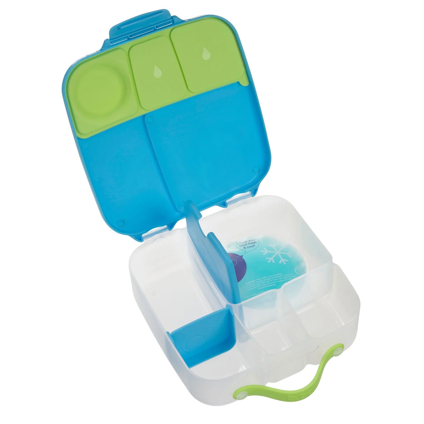 Ocean Breeze Lunchbox - Large