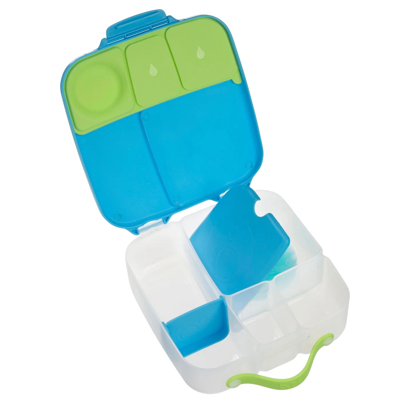 Ocean Breeze Lunchbox - Large