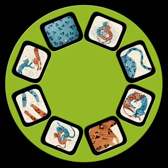 Sous Mon Baobab Storytelling Torchlight