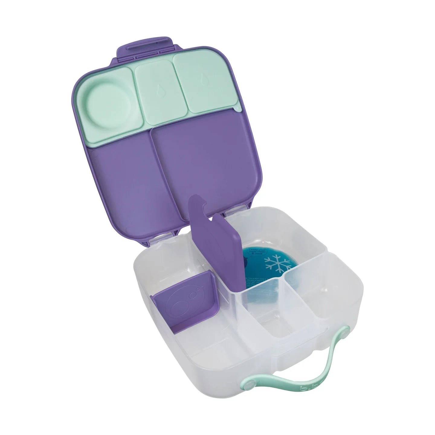 Lilac Pop Lunchbox - Large